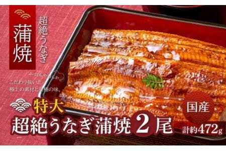 超絶うなぎ蒲焼 特大 2尾 うなぎ専門店 タレ付きうなぎ 愛知県 豊橋市 国産うなぎ 国産 うなぎ うなぎ蒲焼