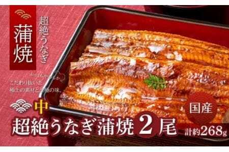 超絶うなぎ蒲焼 中 2尾 うなぎ専門店 タレ付きうなぎ 愛知県 豊橋市 国産うなぎ 国産 うなぎ うなぎ蒲焼