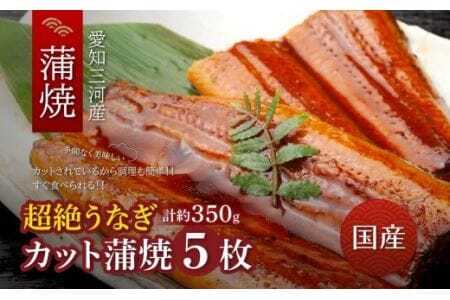 超絶うなぎ カット蒲焼 5枚 うなぎ専門店 タレ付きうなぎ 愛知県 豊橋市 国産うなぎ 国産 うなぎ うなぎ蒲焼