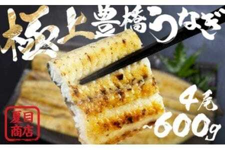 極上 豊橋うなぎ 白焼 4尾 600g 夏目商店                    