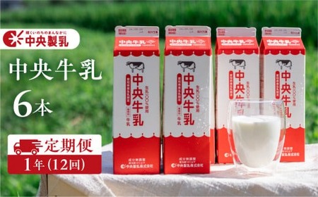 中央製乳 中央牛乳 1年 定期便 1L 6本 計6L