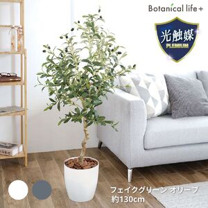 フェイクグリーン オリーブ 130cm 光触媒加工 鉢付き インテリア 抗菌 消臭 愛知県 豊橋市 送料無料 52000円