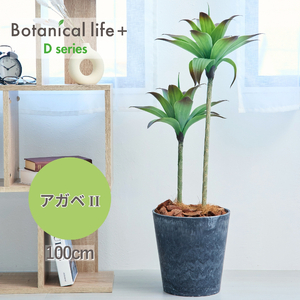 フェイクグリーン Botanical life+ Dシリーズ アガベII 100cm 光触媒加工 鉢付き インテリア 抗菌 消臭 愛知県 豊橋市 送料無料 47000円