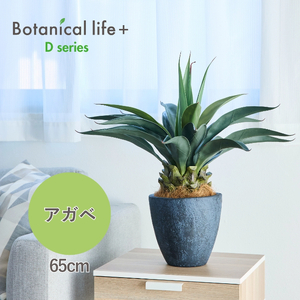 フェイクグリーン Botanical life+ Dシリーズ アガベ 65cm 光触媒加工 鉢付き インテリア 抗菌 消臭 愛知県 豊橋市 送料無料 41000円