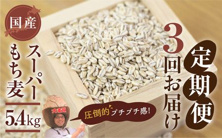 豊橋産スーパーもち麦 定期便 3回(1.8kg×3)