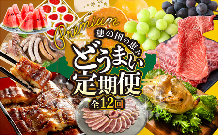 東三河 どうまい 定期便 プレミアム 全12回定期便 鴨 / せとか / いちご / スイーツ定期便 / スイカ / うなぎ / シャインマスカット /フルーツ定期便/ 惣菜定期便/ ちくわ / 牛肉 頒布会 定期 1年 12か月定期便