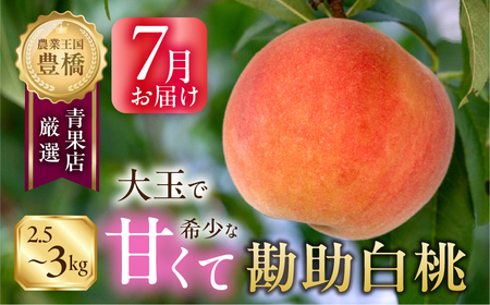 ≪先行予約≫出荷時期はわずか2週間! 豊橋産『石巻の勘助白桃 2.5〜3kg(6〜10玉)』