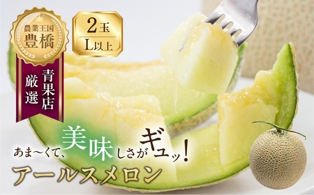 ≪先行予約 2026年発送≫ 豊橋城下地区の『アールスメロン（L～2L）』2玉 メロン メロン メロン メロン