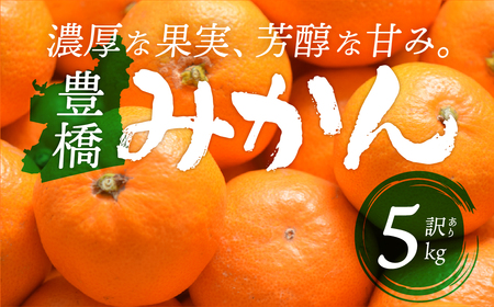 豊橋みかん 訳あり 5kg みかん 高糖度みかん 甘いみかん みかん みかん