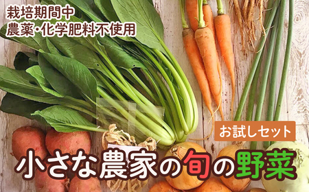 旬の野菜セット お試し 野菜 野菜詰め合わせ おまかせ 新鮮 旬の野菜 愛知県 豊橋市