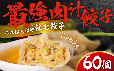 とよはし『最強肉汁餃子』3箱セット 60個入り