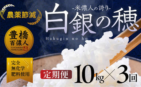 【定期便】米儂人の誇り 白銀の穂 10kg×3回 お米お米お米お米お米お米 定期便定期便定期便定期便定期便