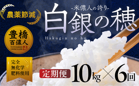 【定期便】米儂人の誇り 白銀の穂 10kg×6回 お米お米お米お米お米お米 定期便定期便定期便定期便定期便