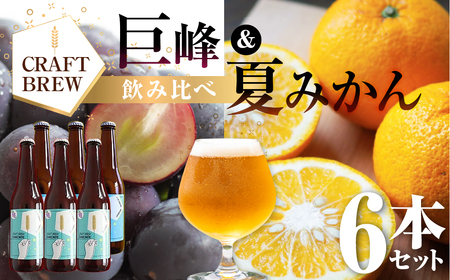 東三河の地産地消にこだわったクラフトビール『DAMONDE』巨峰・夏みかん(2種6本セット) ビール ビールセット 贈答 ギフト お祝い お酒 地ビール 地酒 瓶ビール おススメ ギフト プレミアムビール BBQ 差し入れ クラフト 麦酒 愛知県 豊橋市