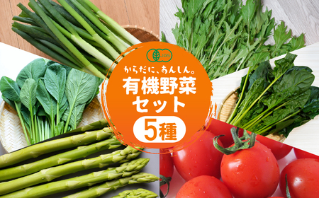 [先行予約]有機野菜セット 5種 野菜 セット 有機栽培 ミニトマト アスパラ ほうれん草 水菜 春菊 高糖度 新鮮 産地直送 季節の野菜 詰め合わせ やさい 自然 安心安全 旬 有機 送料無料 愛知県 豊橋市