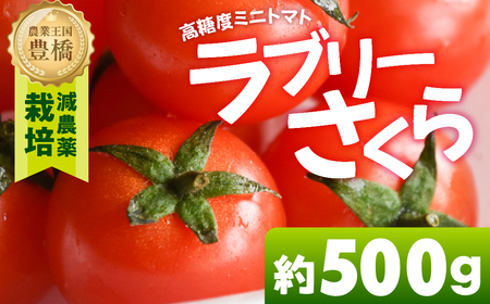 [先行予約]あま〜い!ミニトマト 約 500g トマト ミニトマト 濃厚 甘い 美味しい 高糖度 完熟 tomato とまと やさい 自然 安心安全 旬 送料無料 愛知県 豊橋市