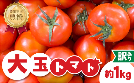 ≪先行予約≫訳ありトマト 約1kg とまと トマト tomato 野菜 甘み サンドイッチ サラダ 訳あり 訳アリ わけあり ワケアリ 規格外 旬 旬の野菜 健康 愛知県 豊橋市