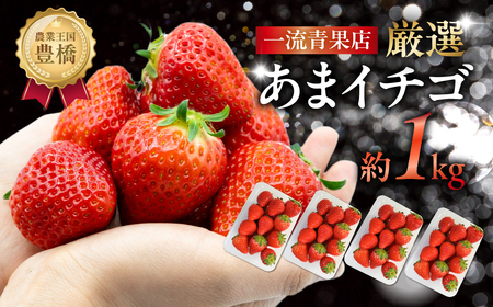 ≪先行予約≫ 厳選 あまイチゴ 約1kg パックいちご いちご イチゴ 苺 甘い 高糖度 糖度 フルーツ 果物 旬 旬の果物 のフルーツ おやつ ビタミン 狩り イチゴジャム 紅ほっぺ または あきひめ 愛知県 豊橋市 1万円 10000