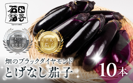≪先行予約≫とげなし茄子 10本 ナス 茄子 なす なすび 野菜 旬 旬の野菜 糖度 石田茄子 トゲなし とげなし お取り寄せ 健康 夕飯 おかず 愛知県 豊橋市