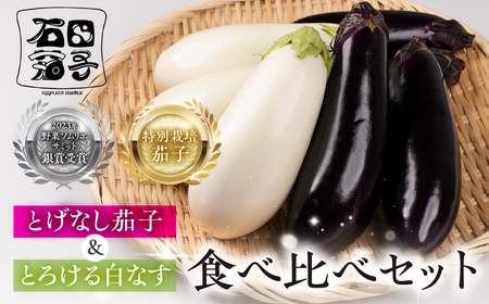 ≪先行予約≫こだわり茄子 食べ比べ≪とげなし茄子×白≫ ナス なす なすび 白なす しろ 白ナス 野菜 旬 旬の野菜 糖度 石田 トゲなし とげ セット 食べ比べセット お取り寄せ 健康 夕飯 おかず 愛知県 豊橋市 5千円 5000円