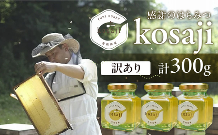 豊橋蜂蜜[kosaji]春はちみつ 300g 訳あり(100g×3) 蜂蜜 はちみつ 国産 常温 はちみつ ハチミツ 蜂蜜 ハニー 送料無料 愛知県 豊橋市