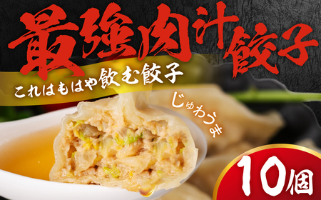 とよはし お試しサイズ『最強肉汁餃子』10個入り 簡易包装 新感覚!餃子