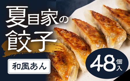 夏目家の和風あん餃子 [3パック(計48個入)]和風あん餃子 夏目家 餃子 訳あり セット 定期便 惣菜 ぎょうざ 愛知県 豊橋市