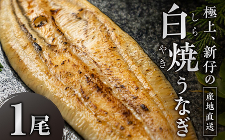 ≪先行予約! 発送は7月28日〜≫ 極上 豊橋うなぎ 山義養魚 白焼 希少 厳選 国産 新仔うなぎ 若 鰻 簡易包装 ウナギ 鰻 ギフト 配布 最高級 土用丑の日 ギフト 冷凍 お取り寄せ 送料無料 日本酒と わさび 山椒 塩 大人 贅沢