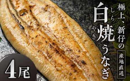 ≪先行予約！ 発送は7月28日～≫ 極上 豊橋うなぎ 山義養魚 白焼 希少 厳選 国産 新仔うなぎ 若うなぎ 鰻 簡易包装 ウナギ 鰻 ギフト 配布 最高級 土用丑の日 ギフト 冷凍 お取り寄せ 送料無料 日本酒と わさび 山椒 塩 大人 贅沢