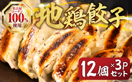 名古屋コーチン餃子 36個 (12個入×3パック) 餃子 餃子 餃子 餃子 餃子