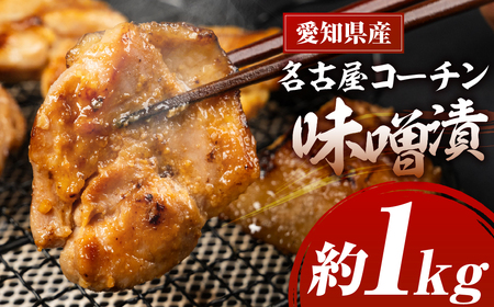 ÉR[`X 800gi400g×2j t t
