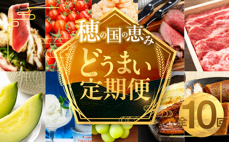 穂の国の恵み どうまい 定期便 A&Bコース 鴨 鴨肉 鍋 セット むき海老 エビ 姫牛 牛 牛肉 フローズンヨーグルト アイス うなぎ 鰻 トマト ローストビーフ マスクメロン メロン シャインマスカット 巨峰 おでん セット フルーツ 果物