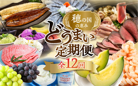 [おまかせコース]穂の国の恵み どうまい 定期便 全12回 おまかせコース ( 餃子 むき えび うなぎ おでん 鴨鍋 かも鍋 うなぎ メロン ジェラート フローズンヨーグルト ) ご当地 人気 名産品 頒布会 豊橋