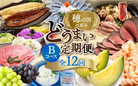 [海鮮コース]穂の国の恵み どうまい 定期便 全12回 Bコース 海鮮 ( 餃子 むき えび うなぎ おでん 鴨鍋 かも鍋 鮎 うなぎ メヒカリ ふぐ フグ メロン ジェラート フローズンヨーグルト ) ご当地 人気 名産品 頒布会 豊橋