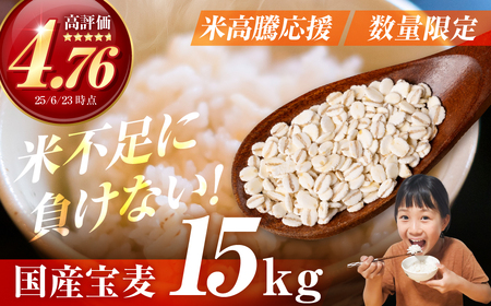 󔞁iIj15kg  ނ 唞  Y X ݂ ͂ Ƃ낲͂  ߂ 