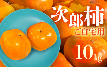 s\ Yʓ{ mLY Y` p 10kg ` 󂠂 s Ê` ʕ t[c 10 11 m Ls r^~C h{ H@ {Ƃǂ