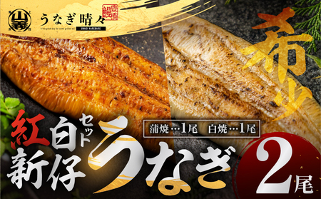 うなぎ晴々 紅白 2尾(蒲焼1尾、白焼1尾)新仔うなぎ