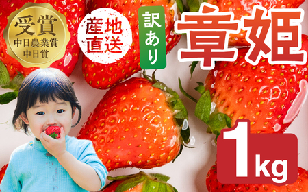 ≪先行予約!≫ 章姫 訳ありいちご 計1kg ( 約250g × 4 ) いちご イチゴ 苺 豊橋 規格外