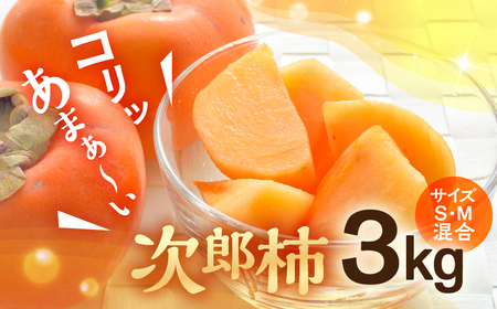 ≪先行予約≫ 豊橋石巻柿工房の『次郎柿』3kg