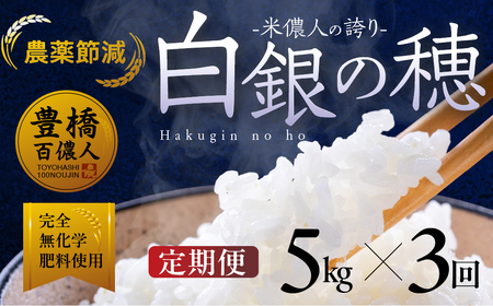 令和7年産[定期便]白銀の穂 5kg×3回 お米