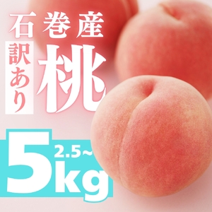 ≪先行予約 2026年発送≫ 石巻産桃 5kg もも
