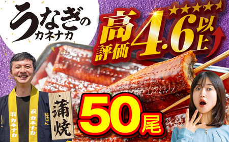 国産うなぎ蒲焼 50尾 訳あり 大容量