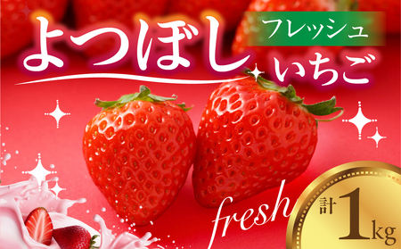 フレッシュいちご 『よつぼし』 1kg 苺