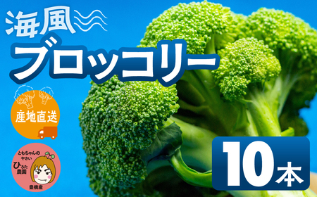 ubR[ 10{ L Y ~lՂ C  Ƒ e L Ƃ̂₳ őlCI m Ls S