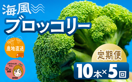 ubR[ 10{ ×5񂨓͂ L Y ~lՂ C  Ƒ e L Ƃ̂₳ őlCI m Ls S