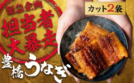 [300セット限定]極上 豊橋うなぎ大盤振る舞い 5000円 年内発送 うなぎ 蒲焼 国産 年内お届け 年内発送 年内発送