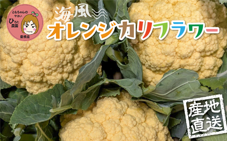 オレンジカリフラワー 4個