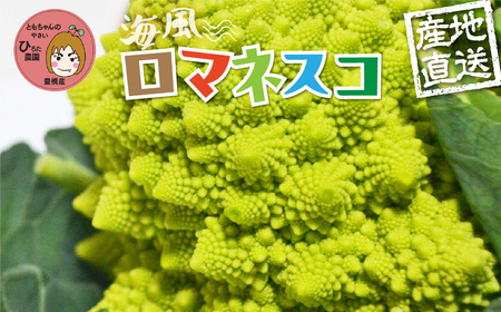 ロマネスコ 3個