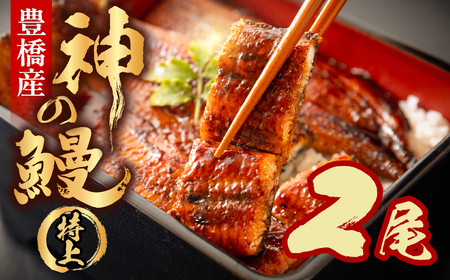 神の鰻 2尾 国産 特上 うなぎ