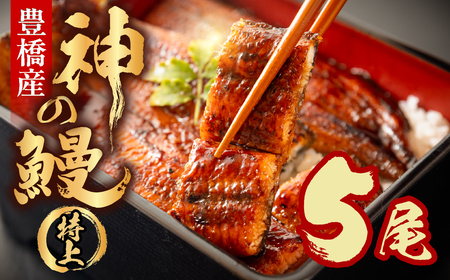 ���Ȃ��̐V�u�����h�A�J���B�w�_�̉V�x5�� ���Y ����